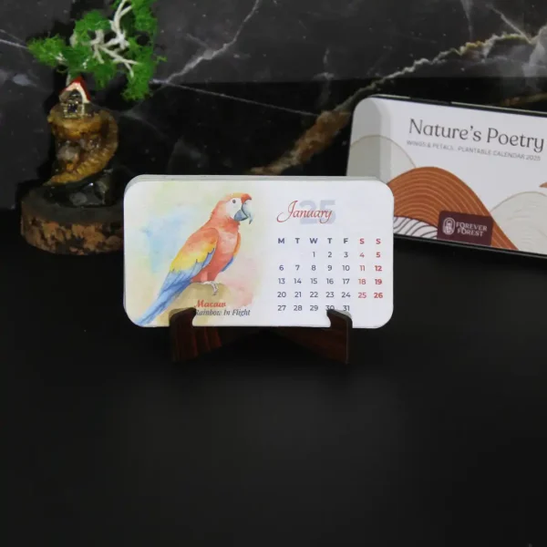 Box Forest Plantable Calendar