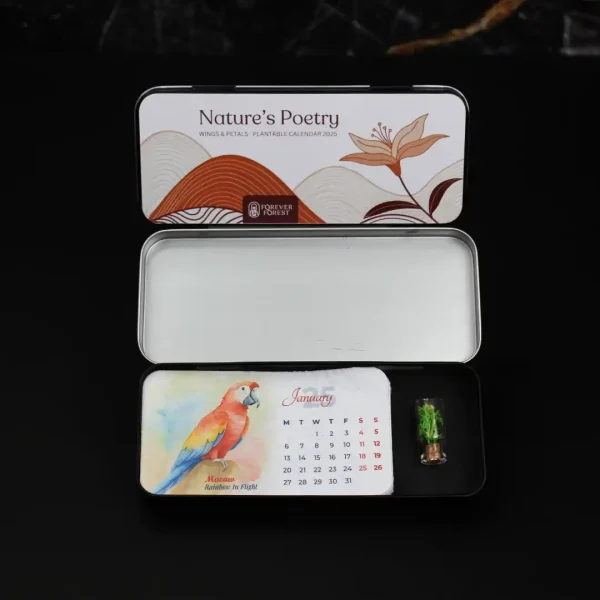 Box Forest Plantable Calendar