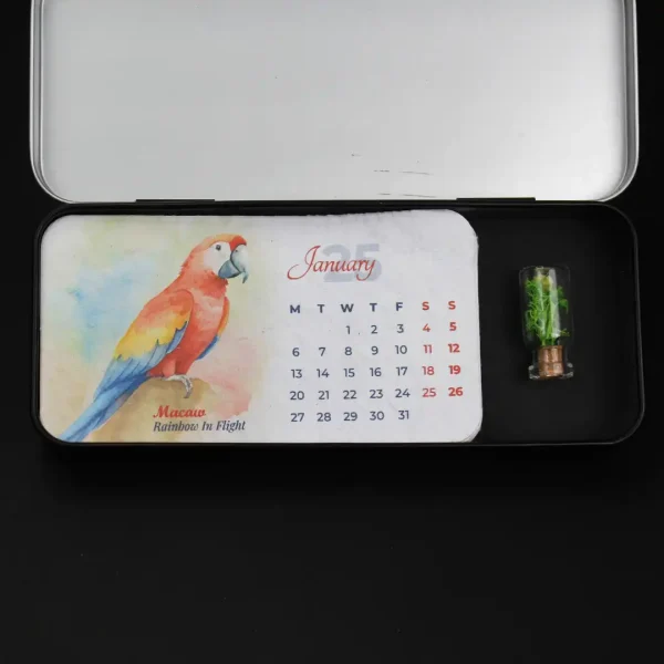 Box Forest Plantable Calendar