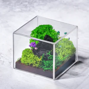 Forever Terrarium Cube