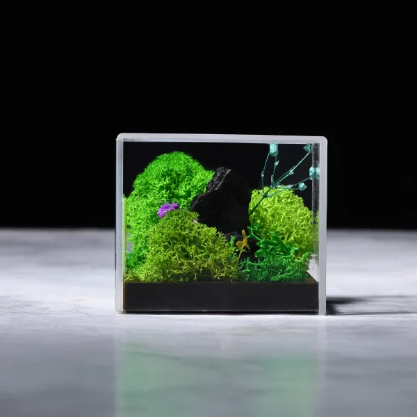 Forever Terrarium Cube