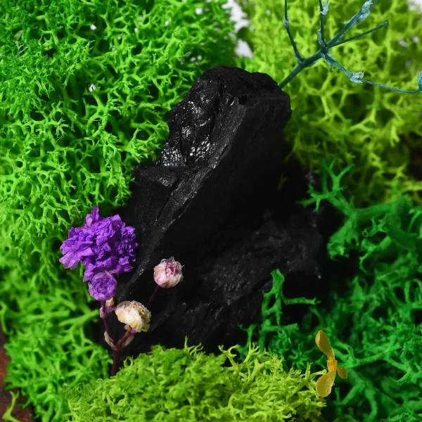 Forever Terrarium Cube