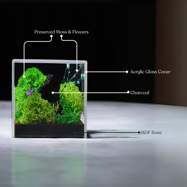 Forever Terrarium Cube