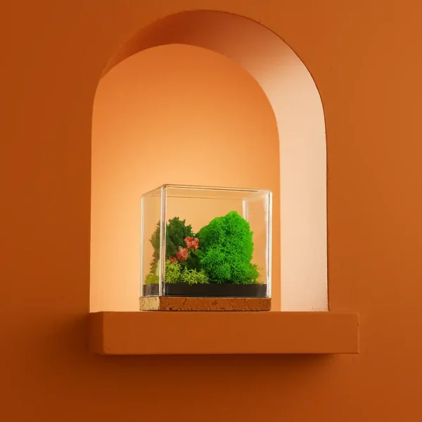 Forever Terrarium Cube