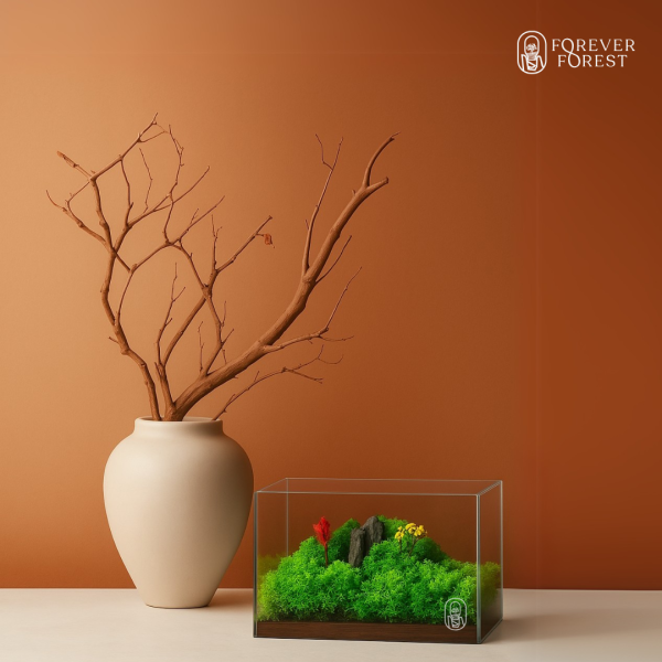 Forever Terrarium Classic