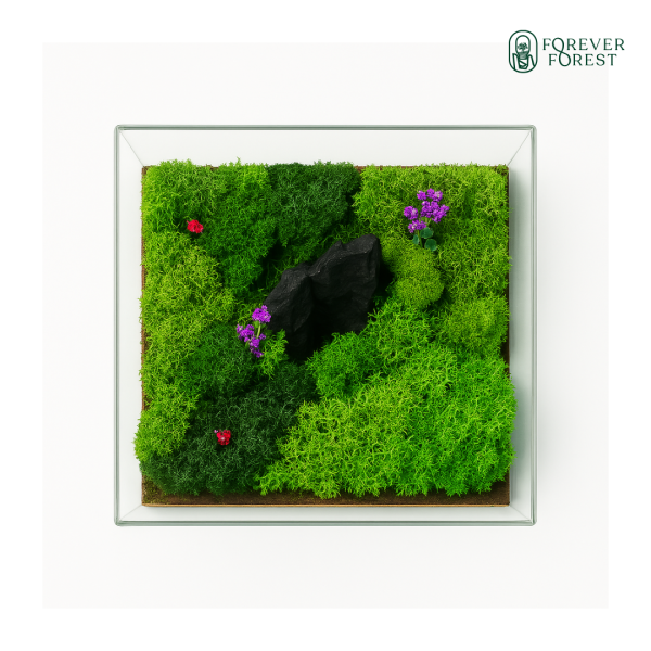 Forever Terrarium Classic