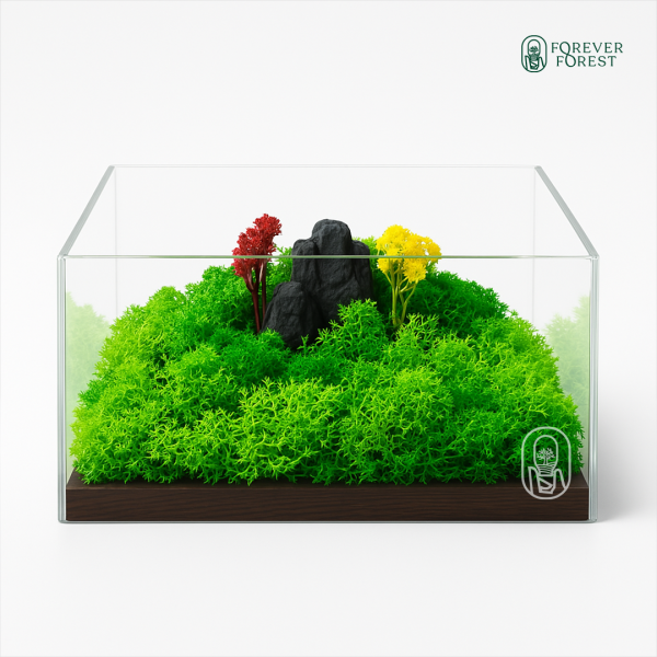 Forever Terrarium Classic
