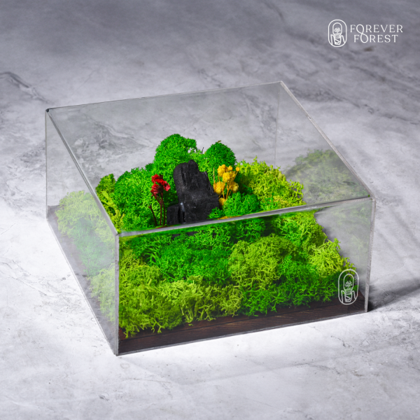 Forever Terrarium Classic