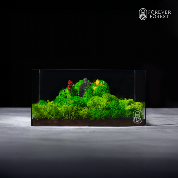 Forever Terrarium Classic