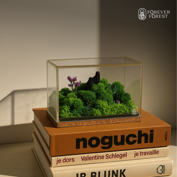 Forever Terrarium Classic
