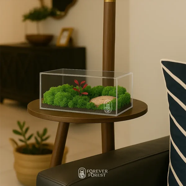 Forever Terrarium Panorama