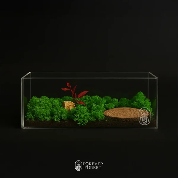 Forever Terrarium Panorama
