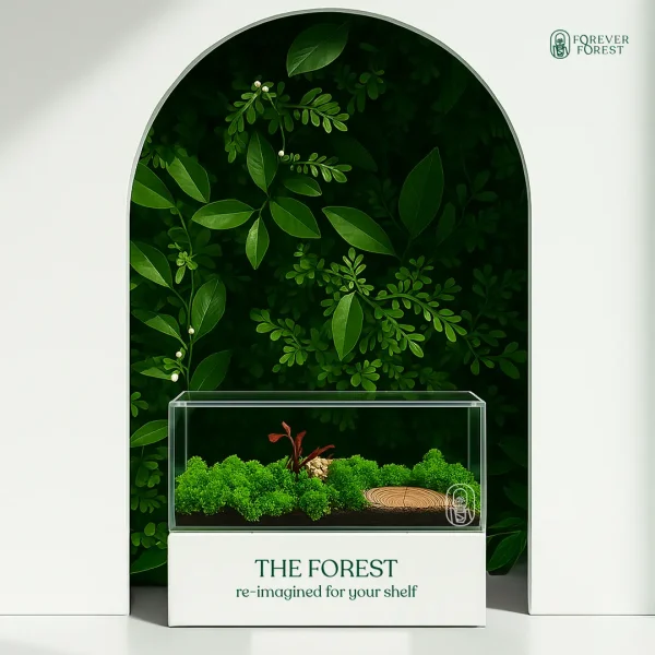 Forever Terrarium Panorama