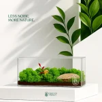 Forever Terrarium Panorama