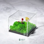 Forever Terrarium Desk