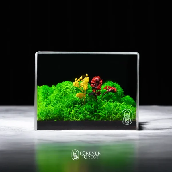 Forever Terrarium Desk