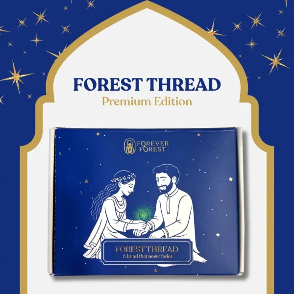 Forest Thread Rakhi Kit